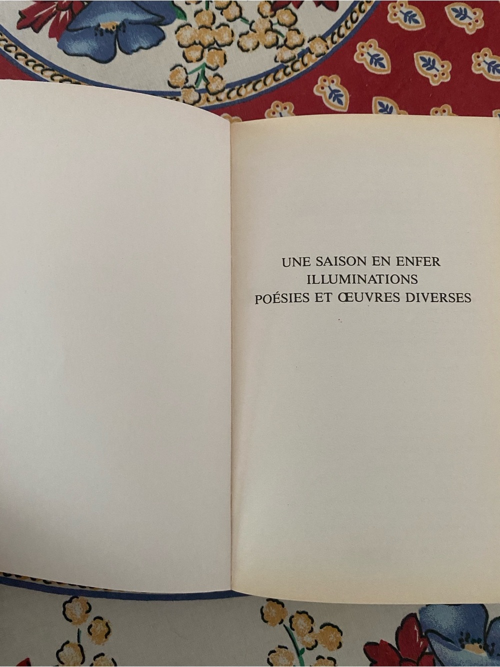 Arthur Rimbaud - 2 French Language Paperbacks - Picture 13 of 16